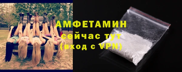 ECSTASY Богданович
