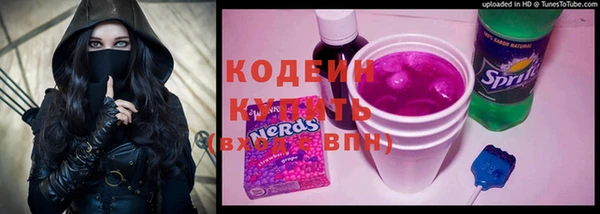 ECSTASY Богданович