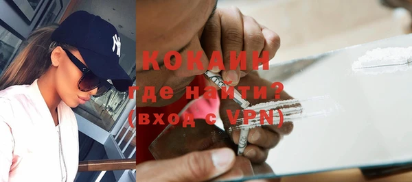 ECSTASY Богданович
