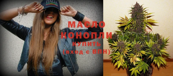 ECSTASY Богданович