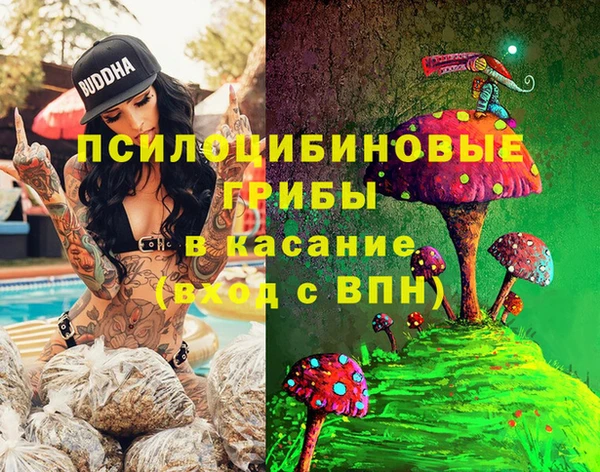 mix Богородск