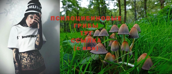 mix Богородск