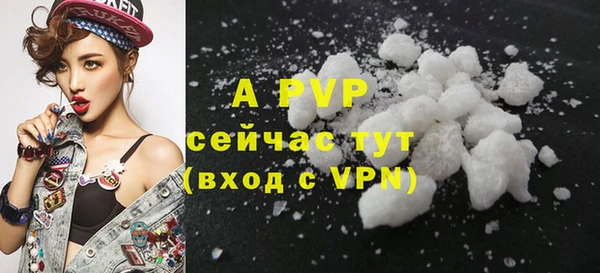 молекула духа Семилуки