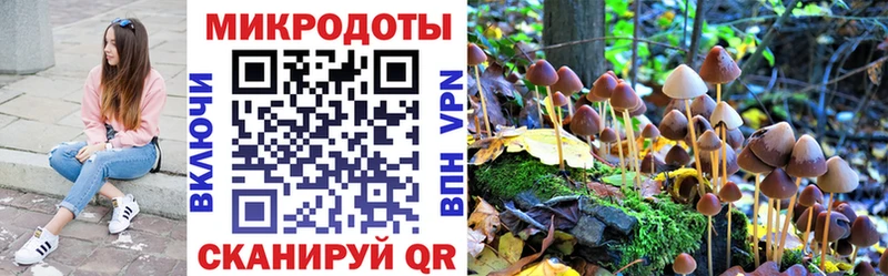 Псилоцибиновые грибы прущие грибы  Козьмодемьянск 