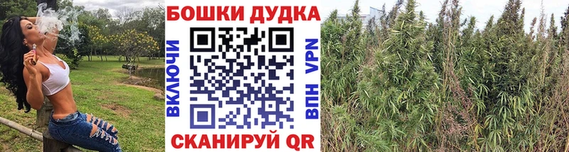Шишки марихуана сатива MEGA Козьмодемьянск